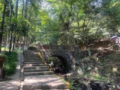 -莫干山风景区