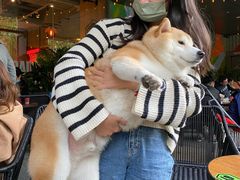 -Moka Bros 摩卡站(嘉华店)