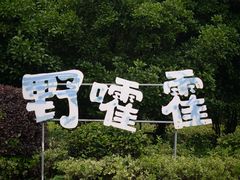 -九龙潭景区