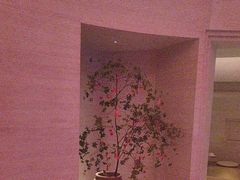 -舒小悦·舒养SPA·古法推拿(光环中心店)