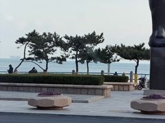 -前海沿·青岛菜(五四广场永旺店)