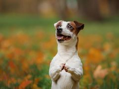 -真枪会射击俱乐部(河西中央公园店)