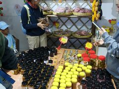 -苏州市吴中区光福窑上花果蜜饯厂