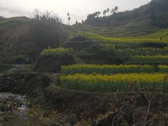 -灵山景区梯田