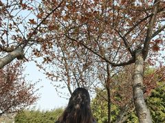 -白塘生态植物园