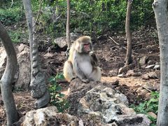 -南京金牛湖风景区