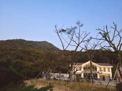 -大雁山风景区