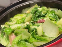 -毛家饭店(澳德乐店)