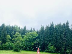 -武陵山森林公园