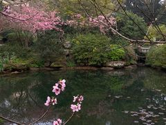 -中国茶叶博物馆(双峰馆区)