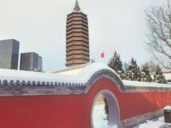 -西海子公园
