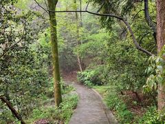 -岳麓山风景名胜区