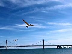 -星海湾跨海大桥