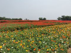 -江苏三台山国家森林公园