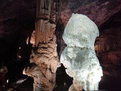 -波斯托伊纳溶洞