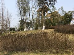 -桤木河湿地公园