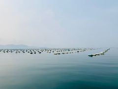 -碧桂园十里银滩