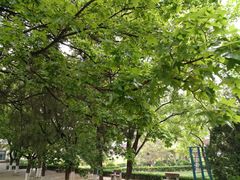 -山东师范大学(千佛山校区)