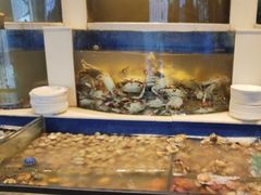 -海天盛宴新派海鲜自助餐厅(群力店)