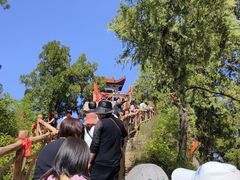 -照金香山旅游景区