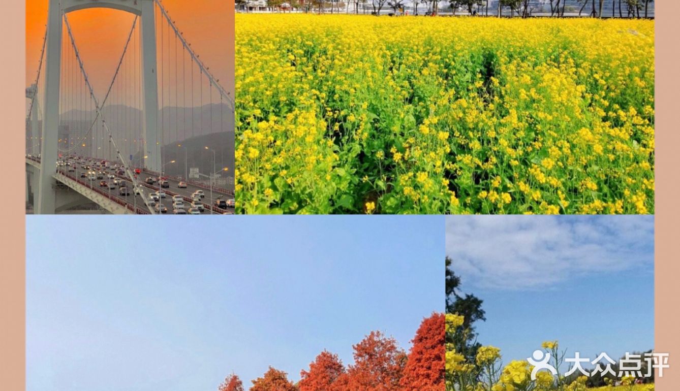 0️⃣元打卡厦门新晋网红拍照地❗