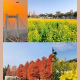 0️⃣元打卡厦门新晋网红拍照地❗