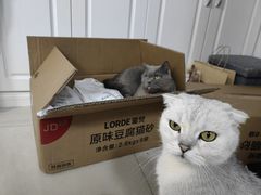 -瑞派天使宠物医院·神经外科·骨科·核磁(洛川中路店)
