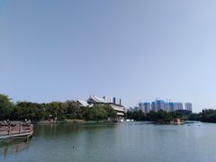 -五缘湾湿地公园