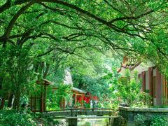 -南昌之星游乐场