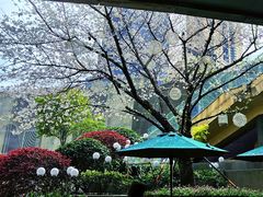 -星巴克臻选(杭州万象城店)