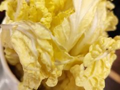 娃娃菜-潮界(LU·ONE凯德晶萃广场店)