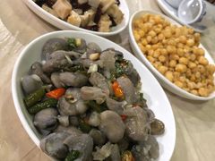 -东吴霸王兔(松青路店)