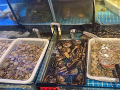 -捞围鲜·港式打边炉(海阳路店)