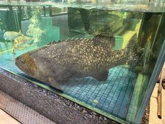 -聚福宝合苑食府(南头镇店)