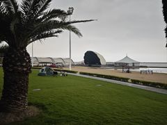 -碧海金沙