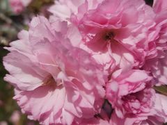 -同济大学(嘉定校区)