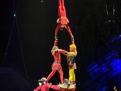 -灵玲国际马戏城
