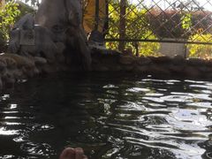 -深业半汤御泉庄温泉