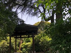 -东航云逸酒店(九溪烟树店)