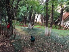 -云南民族大观园