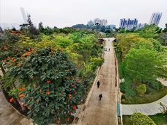 -狐尾山公园
