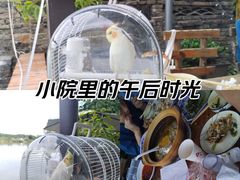 -水岸居湖景农家乐·阳澄湖大闸蟹