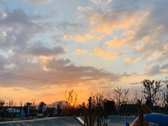 -三垟湿地