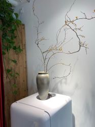 -柏姿舞蹈工作室