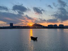 -星光岛