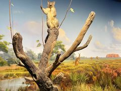 -陕西自然博物馆