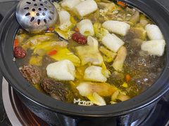 -蘑统田下·野生菌火锅