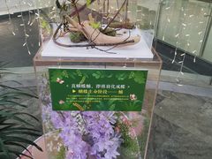 -LuOne凯德晶萃广场(徐家汇路店)