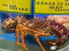 -新海渔港·胶东海鲜家常菜·家宴(奥体中心店)
