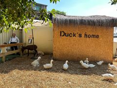 -HERRE·FARM 赫尔露营农场·团建聚会包场